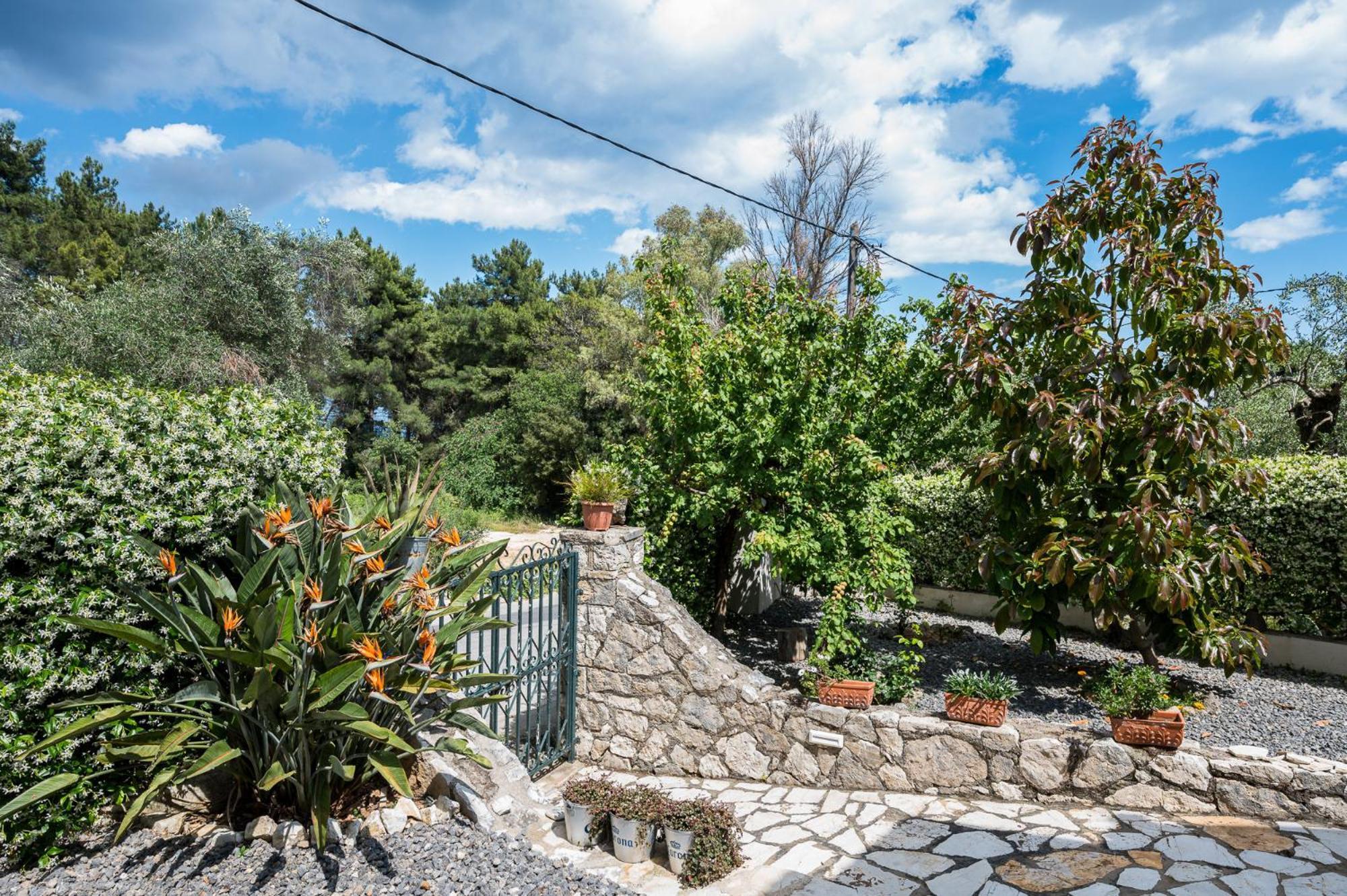 The Olive Grove By Konnect, Dasia *
